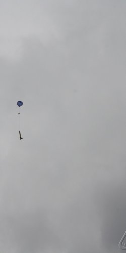 2013 Svojek Mirek Topinka